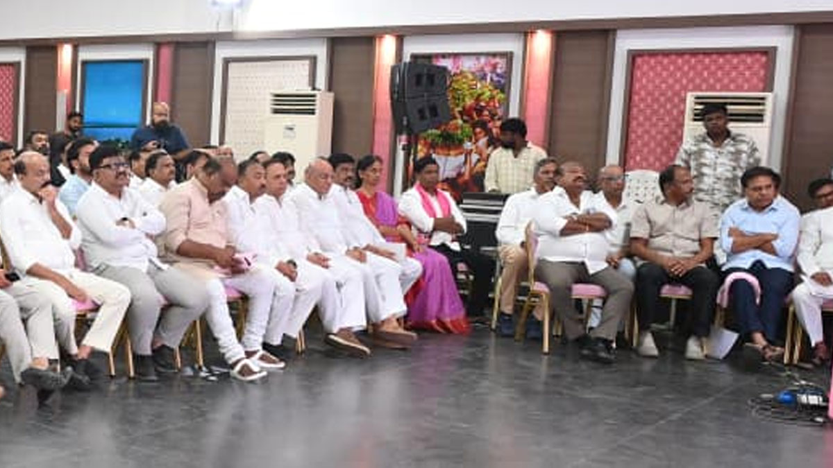 harish rao power point presentation in Telangana bhavan