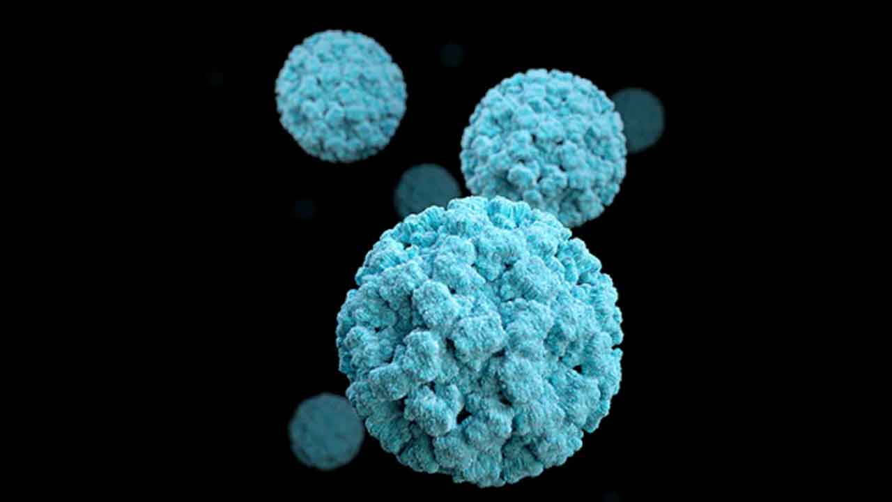 Norovirus | చైనాలో నోరోవైరస్ కలకలం.. 103 మంది విద్యార్థులకు ఇన్‌ఫెక్షన్..