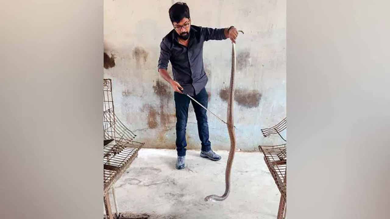 Snakes Hotspot | పాముల హాట్‌స్పాట్‌గా హైద‌రాబాద్ న‌గ‌రం..! వెలుగులోకి షాకింగ్ విష‌యాలు..!!