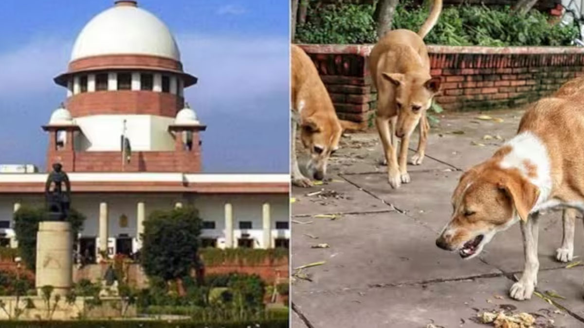 Stray Dog Attacks | ‘మీ ఇంటికి తీసుకెళ్లి పెంచుకోండి’.. వీధికుక్కలకు ఆహారం పెట్టేవారిపై సుప్రీం సీరియస్