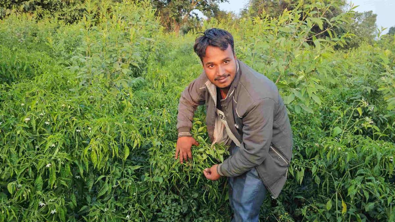 Jharkhand Engineer Turns Farmer | ఇంజినీరింగ్‌ జాబ్ వ‌దిలి వ్య‌వ‌సాయం చేస్తూ.. రోజుకు రూ.15వేల సంపాద‌న‌..