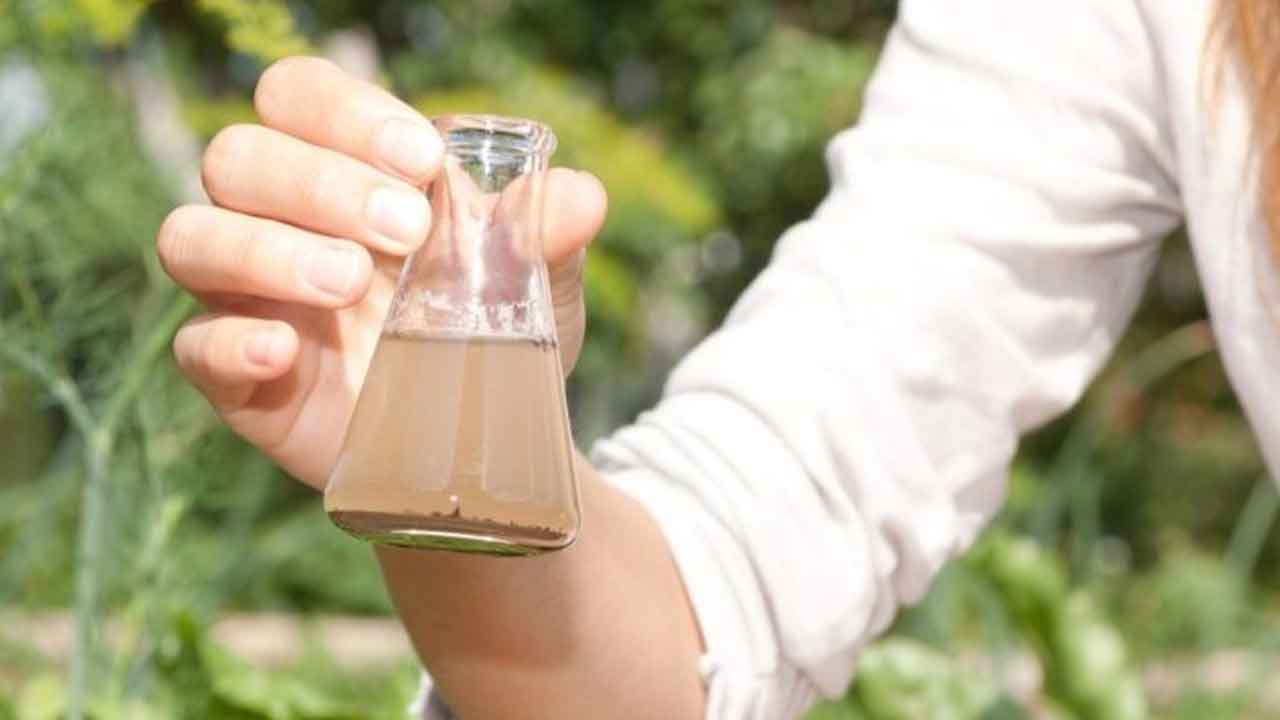 Water Quality Test | మనం తాగుతున్న నీళ్లు సుర‌క్షిత‌మేనా..? ఇంట్లోనే నీటి నాణ్య‌త‌ను ఇలా టెస్ట్ చేయండి..!