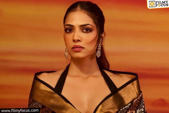 Malavika Mohanan: సెన్సేషనల్ డైరెక్టర్ సినిమాలో ఛాన్స్ కొట్టేసిన మాళవిక మోహనన్
