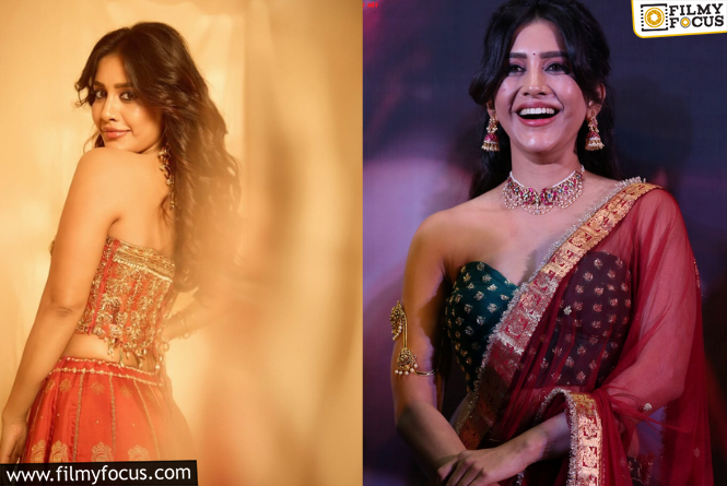 Nabha Natesh : హీరోయిన్ నభా నటేష్ ప్లాన్ మాములుగా లేదుగా..!