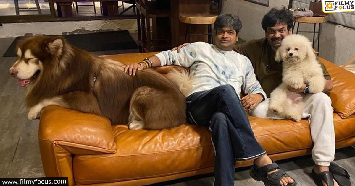 Harish Shankar about Puri Jagannadh